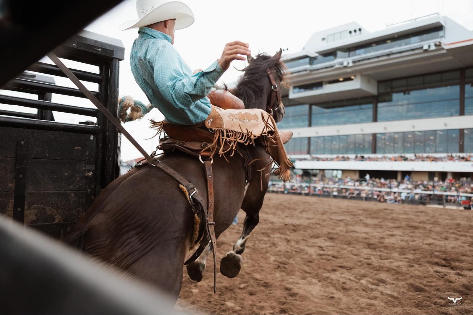 Rodeo competition in the arena